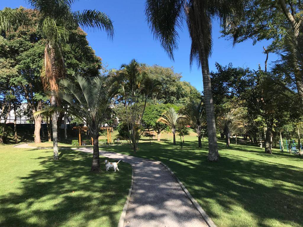 Terreno, 330 m² - Foto 26